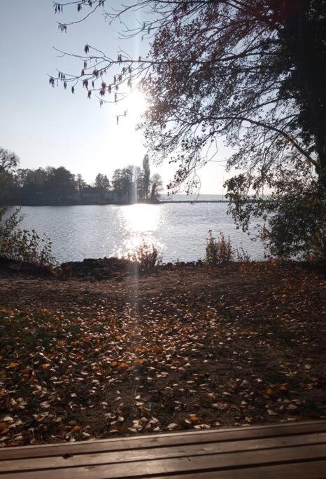 Lieblingsplatz Apartement Am Steinhuder Meer Wunstorf Zewnętrze zdjęcie